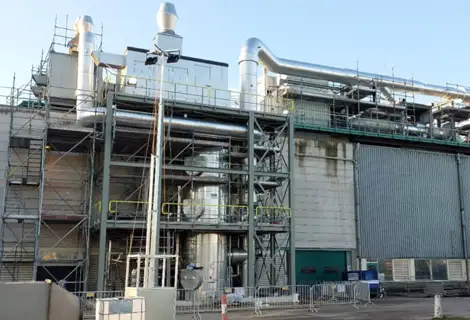 Exterior Amsterdam plant image