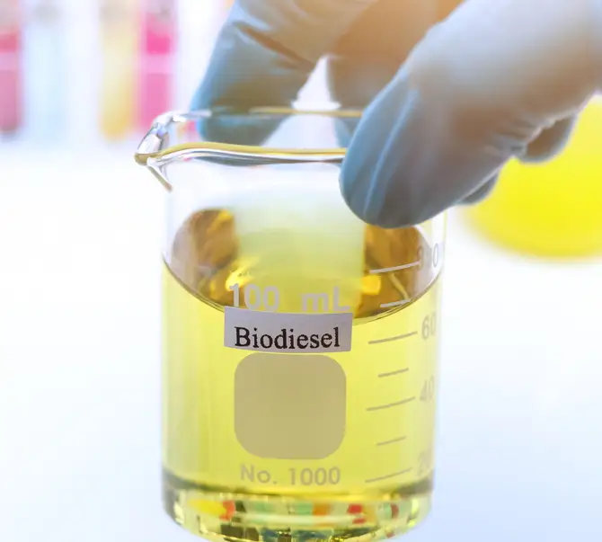 photo of biodiesel in beaker