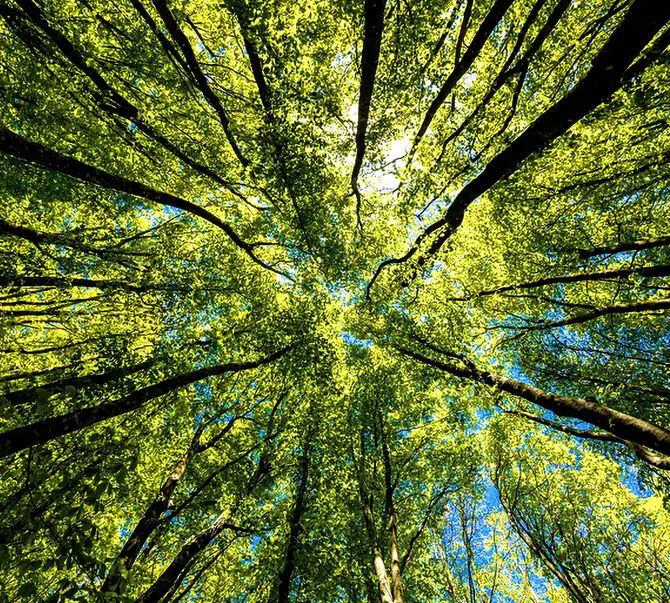 Natural resourcs